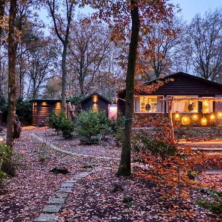 Lodge In Een Bosrijke Omgeving Met Hottub & Sauna Opt Rheezerveen Ngoại thất bức ảnh